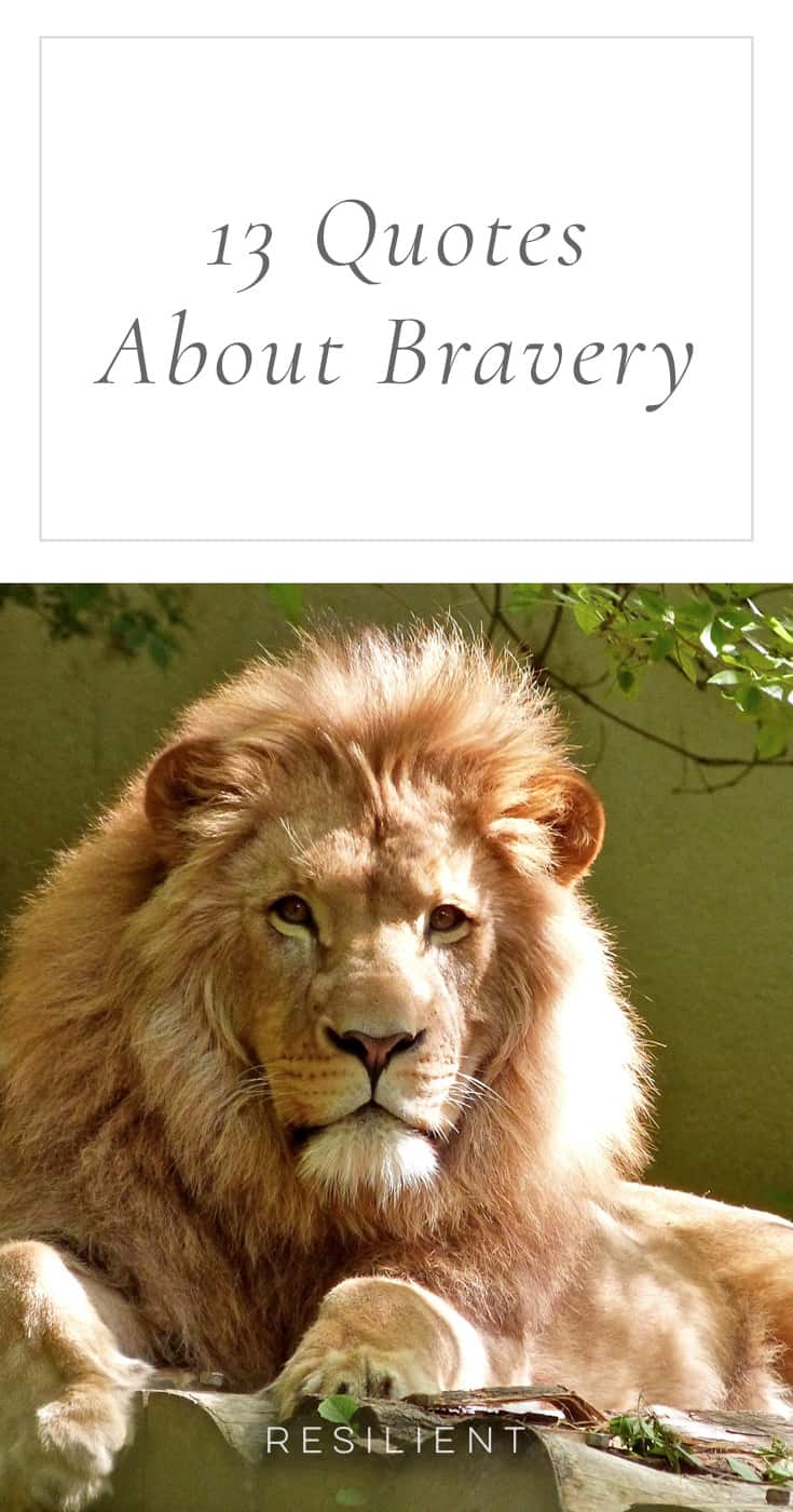 French Quotes About Bravery