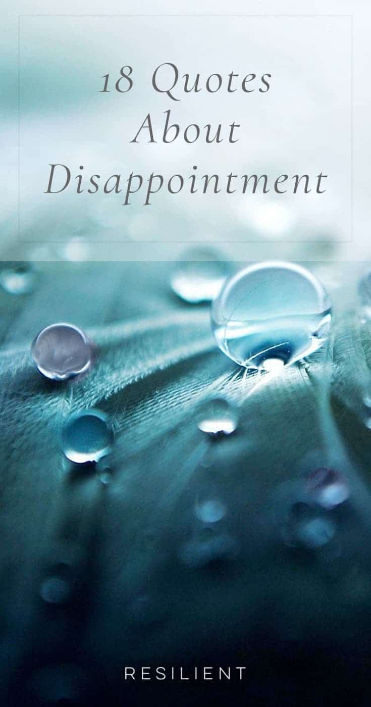 Disappointments are an unfortunate but somewhat inevitable part of life. However, there is always a lesson to be learned or new strength to be gained from the situation. Here are 18 quotes about disappointment.