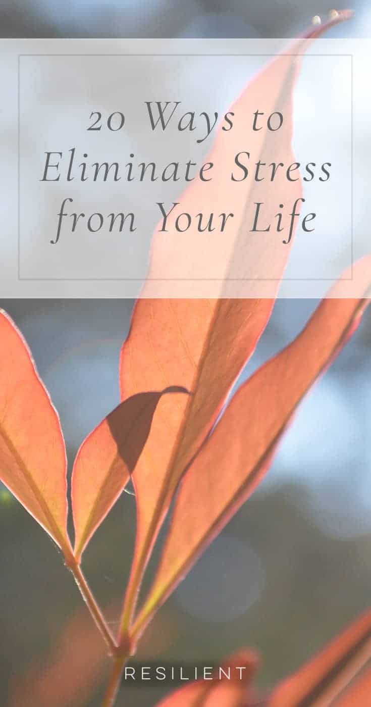 You often see articles on ways to unwind and relax after a stressful day, which I always find useful, but for me the most important advice would be to get to the source of the problem, and cut stress out before it even happens. By careful editing of your life, and changing certain habits, you can eliminate most (not all) sources of stress in your life. Here are 20 ways to eliminate stress from your life.