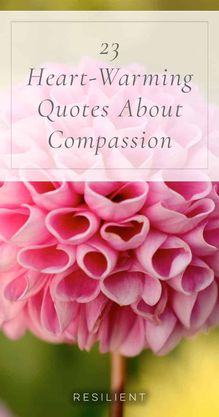 Compassion is the thread that connects humans to each other. Here are 23 heart-warming quotes about compassion.