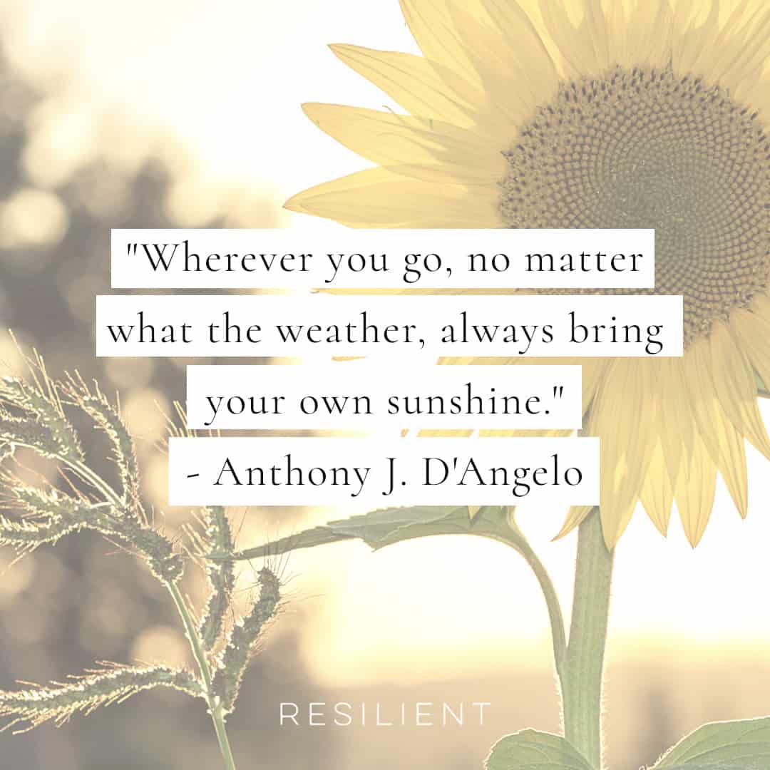 40 Sun Quotes And Sunshine Quotes Resilient