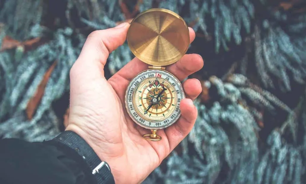 25+ Quotes About Purpose in Life - Resilient