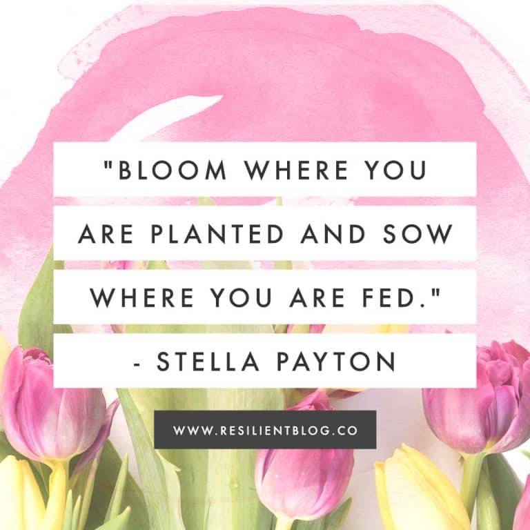 110+ Quotes About Blooming Like a Flower Resilient