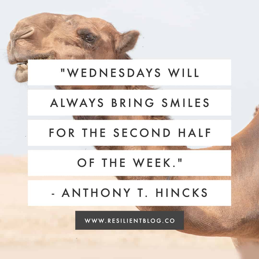 100+ Wednesday Quotes for a Happier Hump Day - Resilient