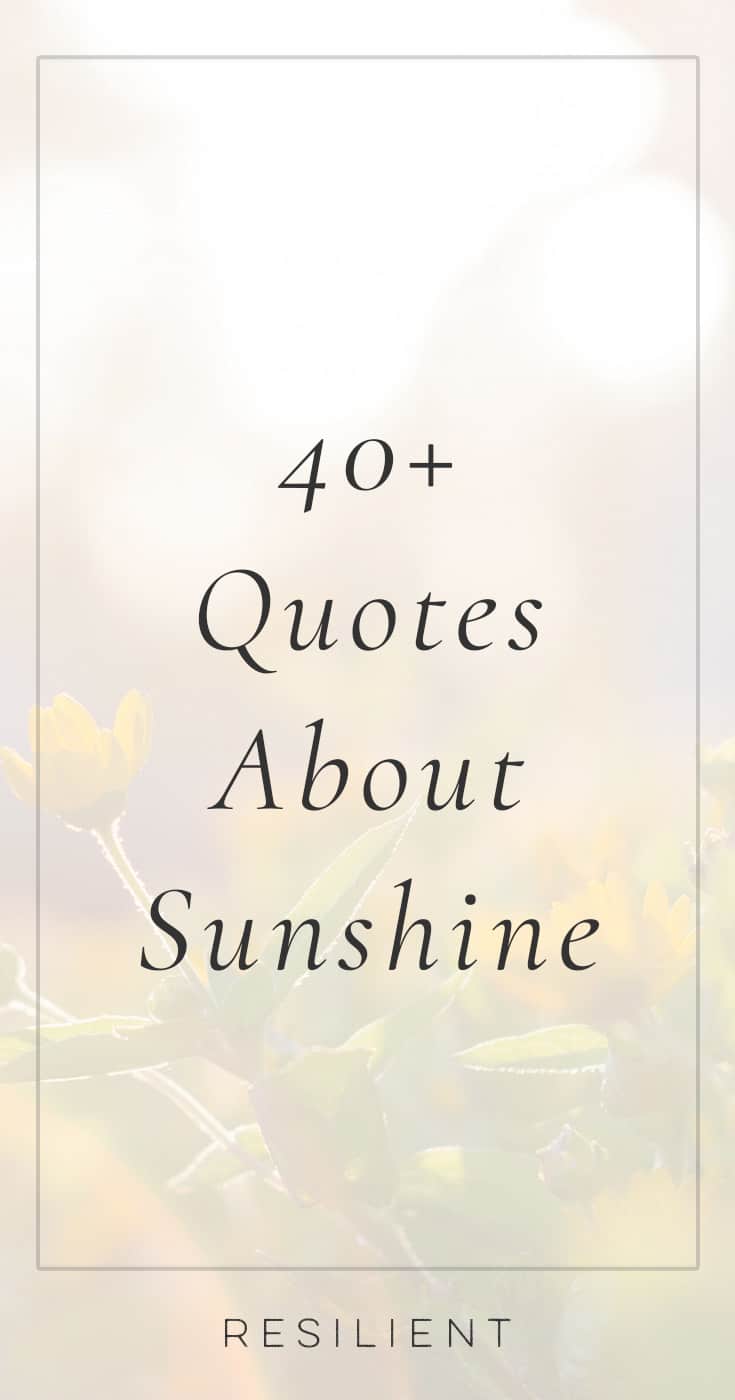 40+ Sun Quotes and Sunshine Quotes - Resilient