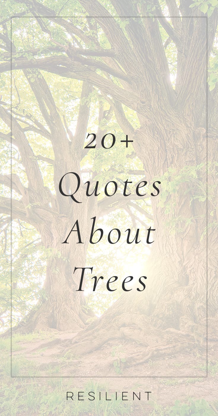 100-quotes-about-trees-and-forests-resilient