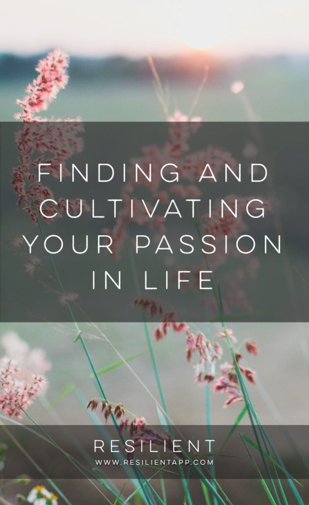 How to Find and Cultivate Your Passion in Life