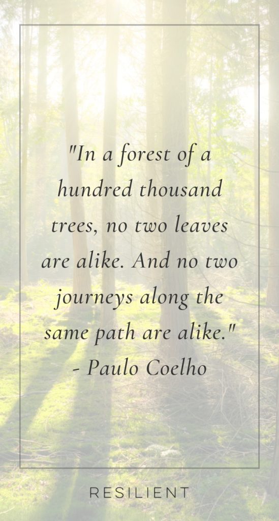Tree Quotes